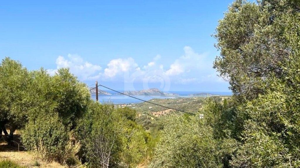 εικόνα αγγελίας