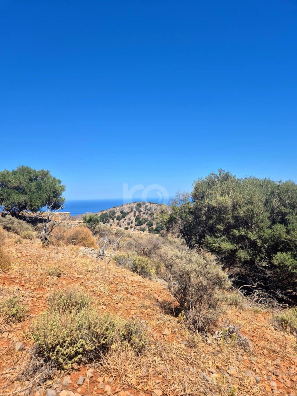 εικόνα αγγελίας