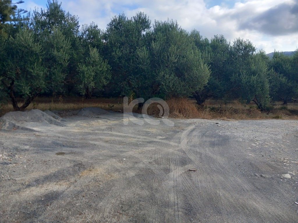 εικόνα αγγελίας