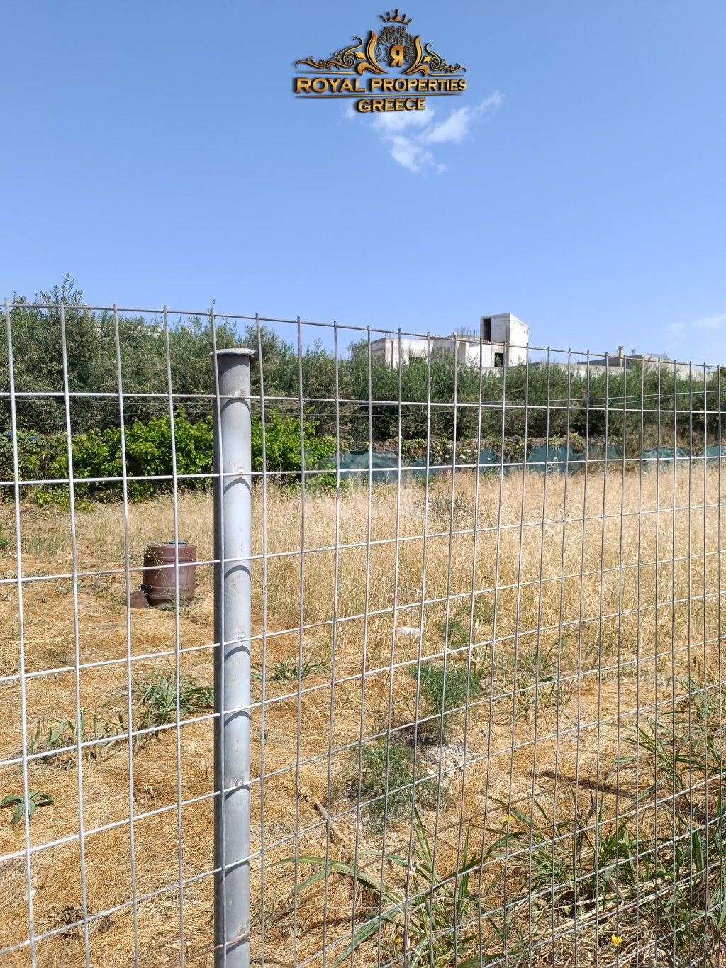 εικόνα αγγελίας