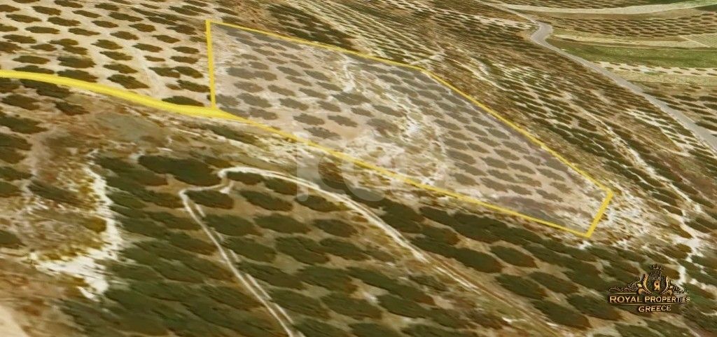 εικόνα αγγελίας