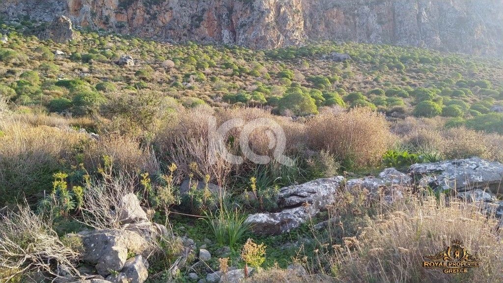 εικόνα αγγελίας