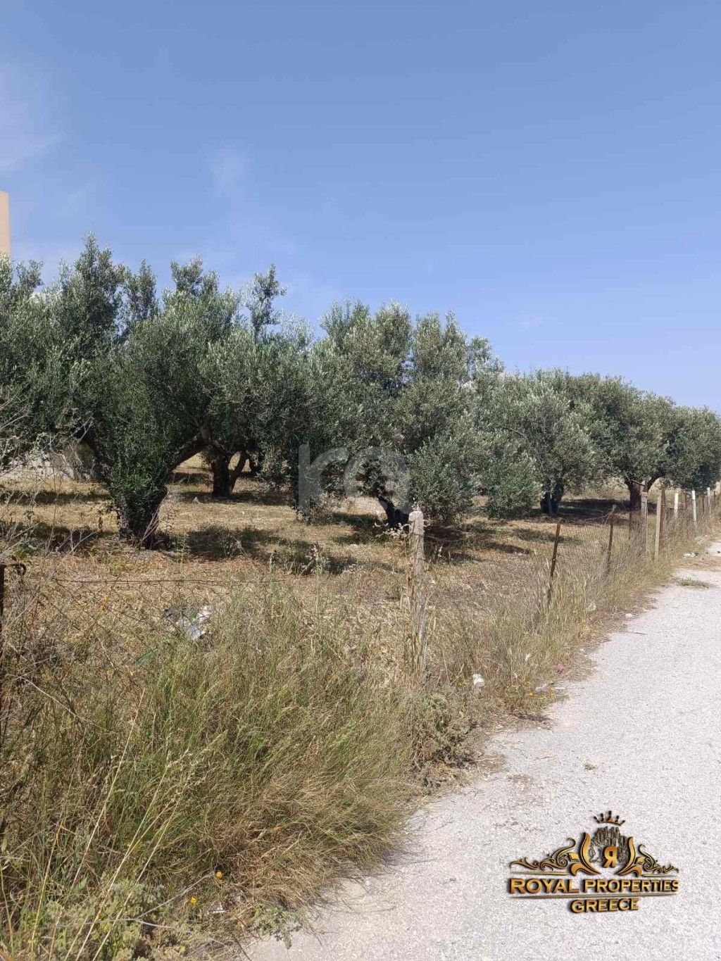 εικόνα αγγελίας