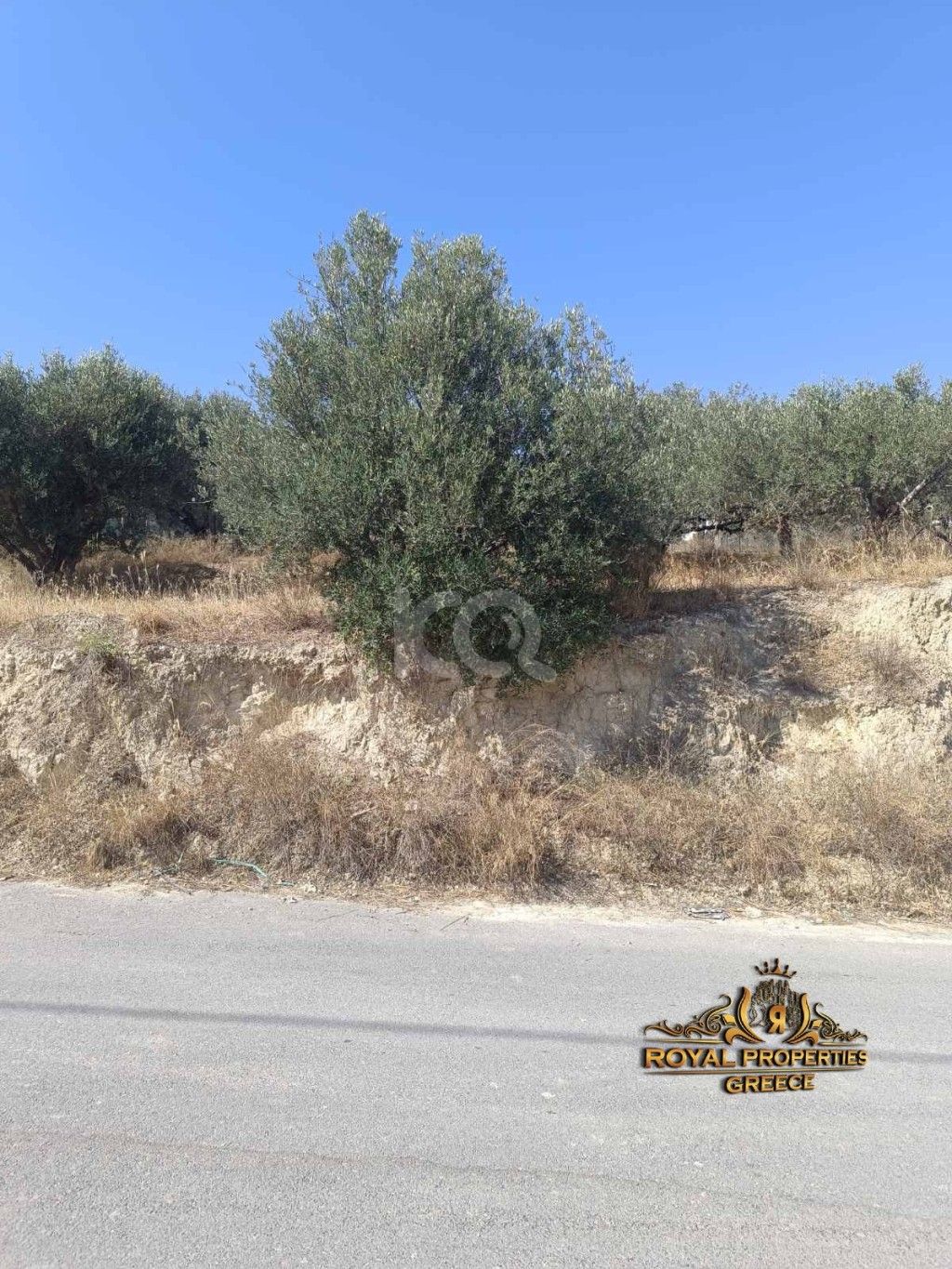 εικόνα αγγελίας