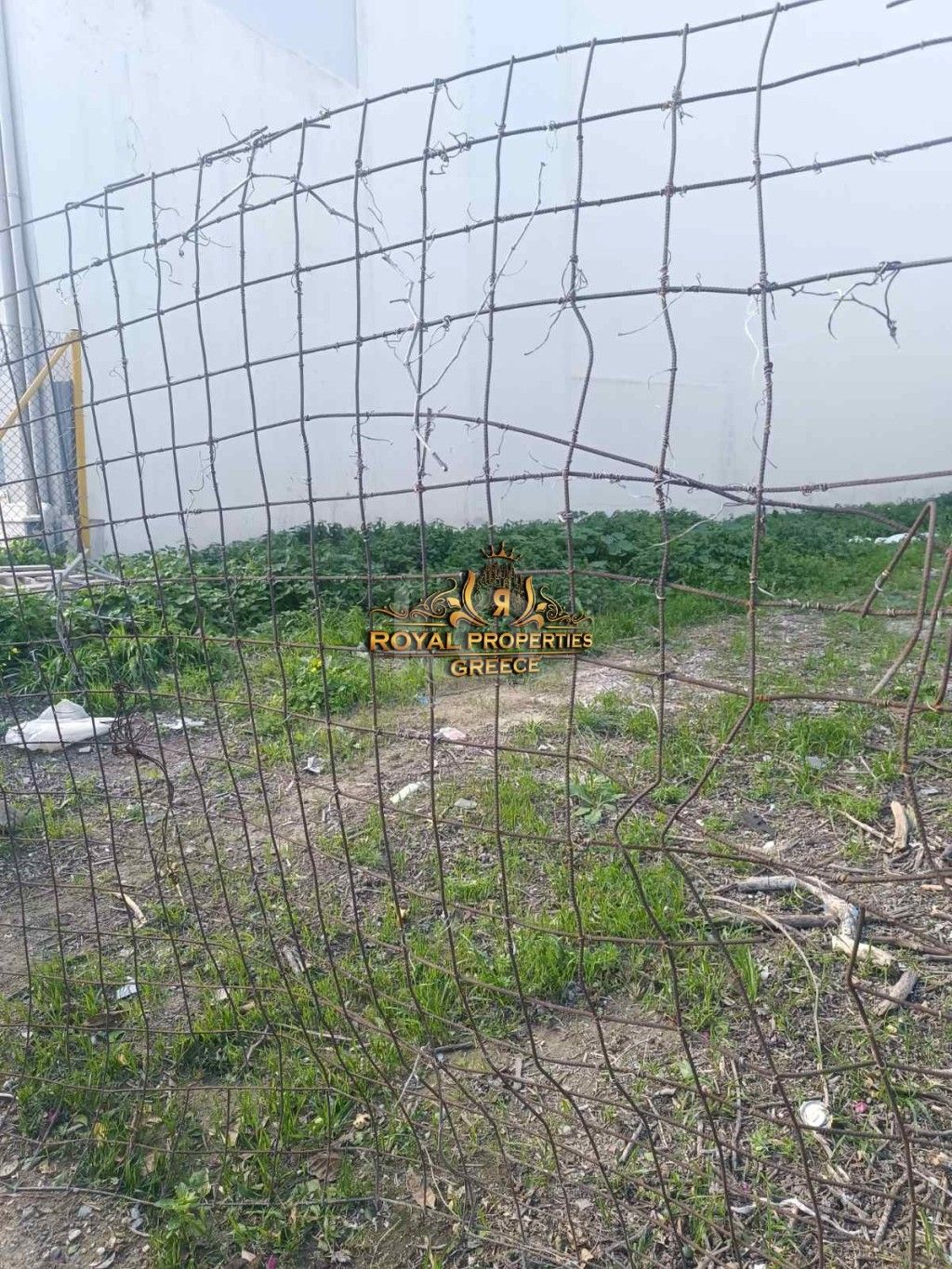 εικόνα αγγελίας