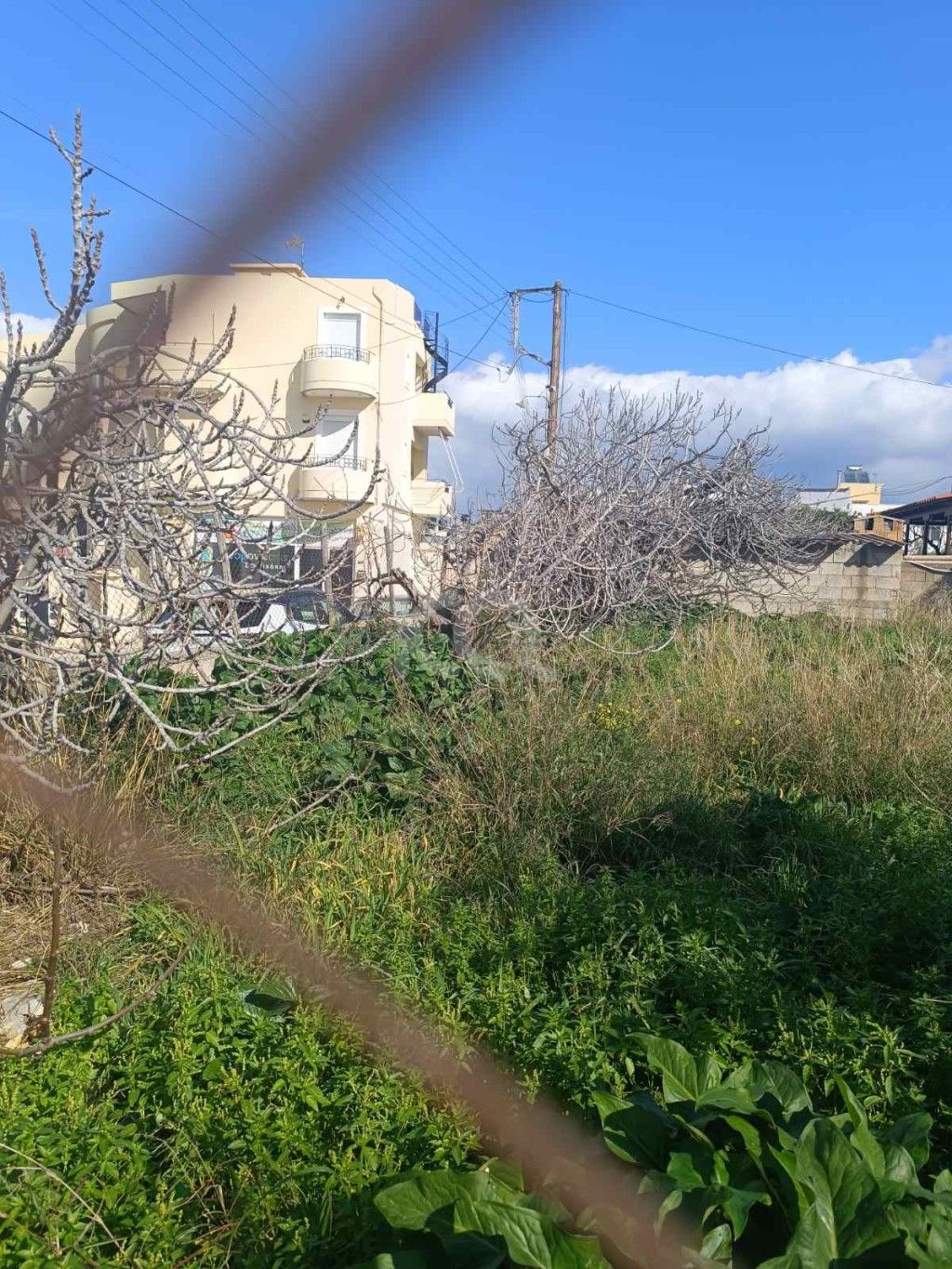 εικόνα αγγελίας