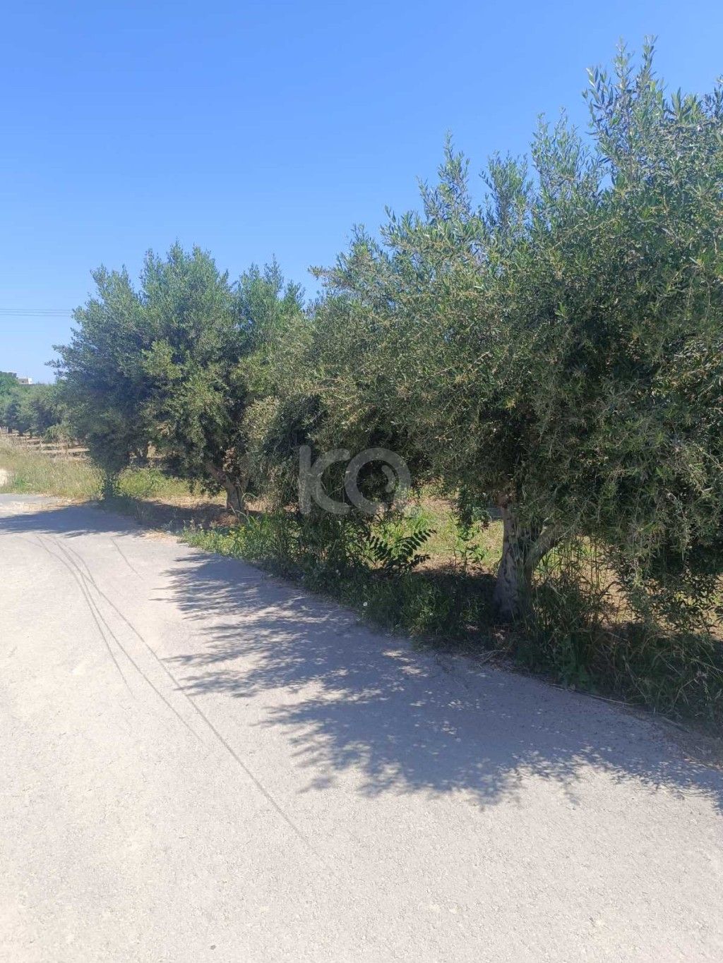 εικόνα αγγελίας