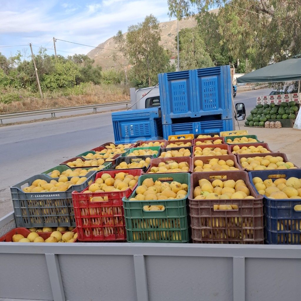 εικόνα αγγελίας