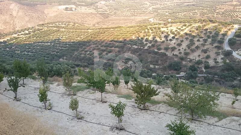 εικόνα αγγελίας
