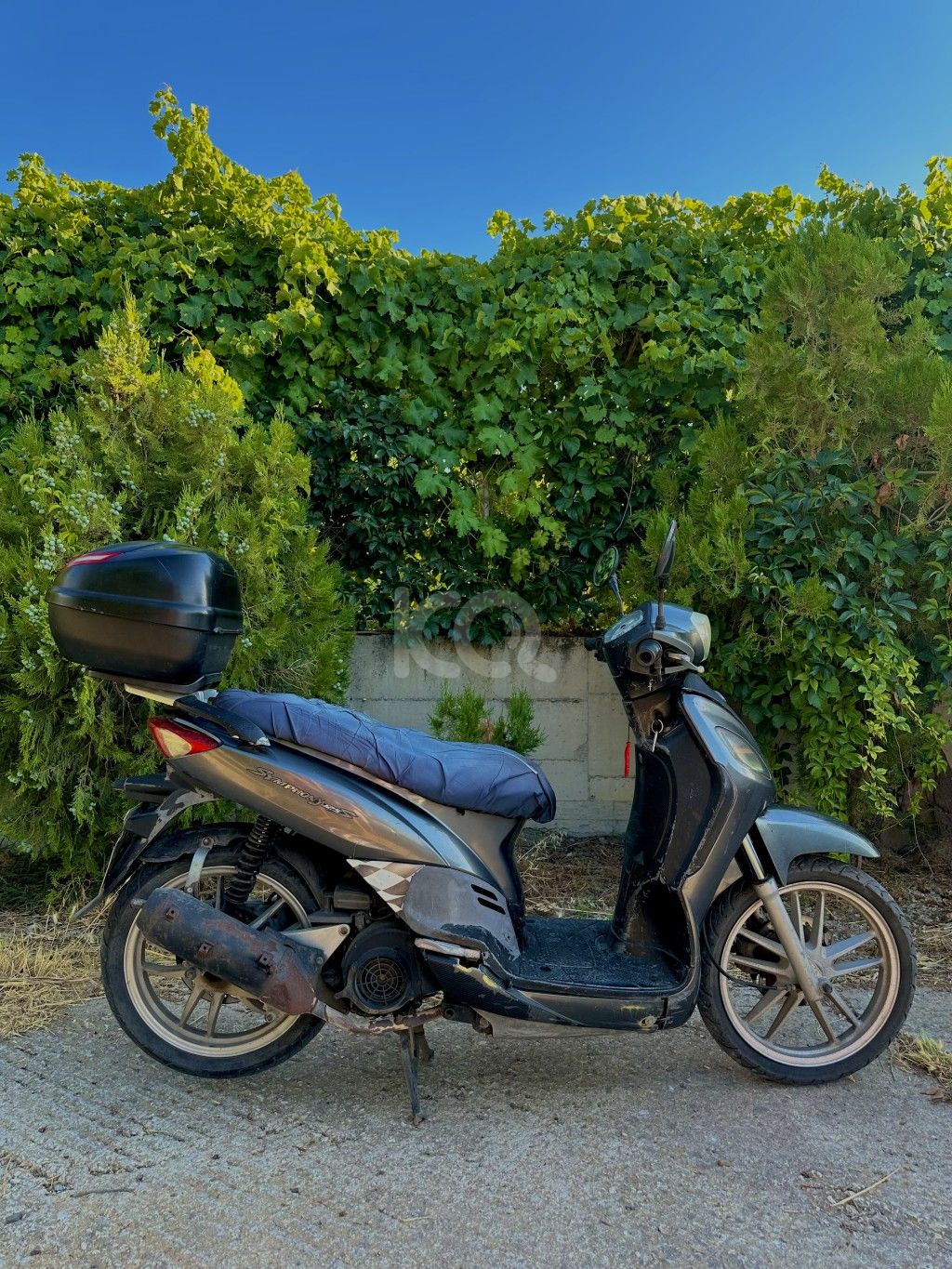 εικόνα αγγελίας