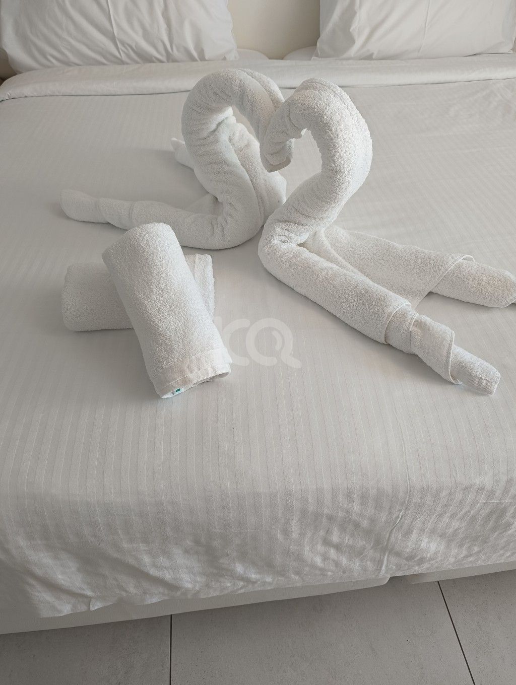 εικόνα αγγελίας