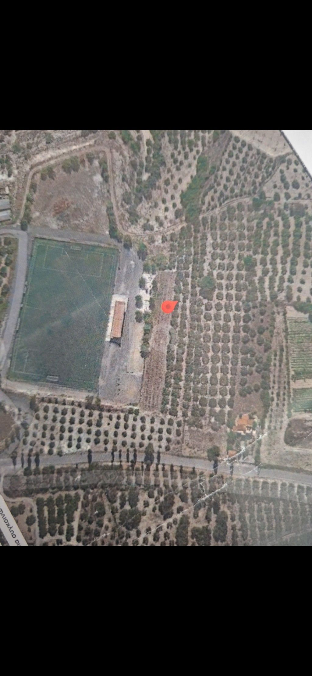 εικόνα αγγελίας