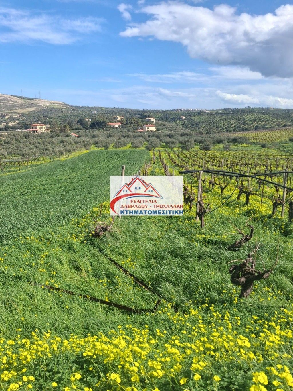 εικόνα αγγελίας