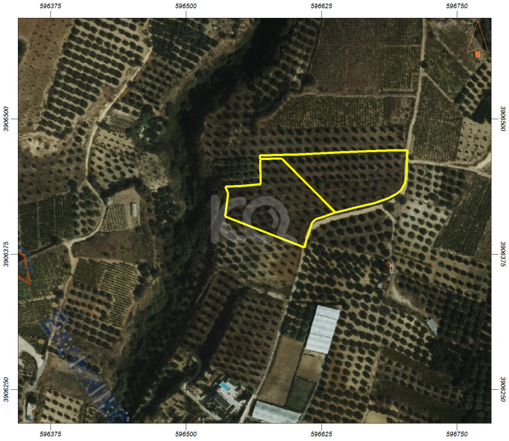 εικόνα αγγελίας