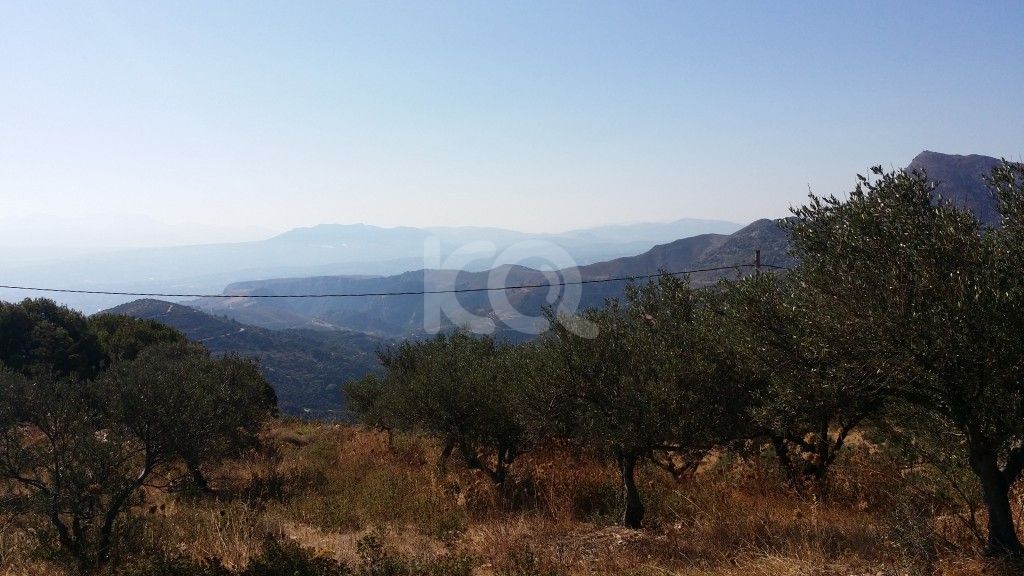 εικόνα αγγελίας