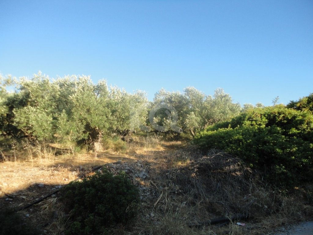 εικόνα αγγελίας