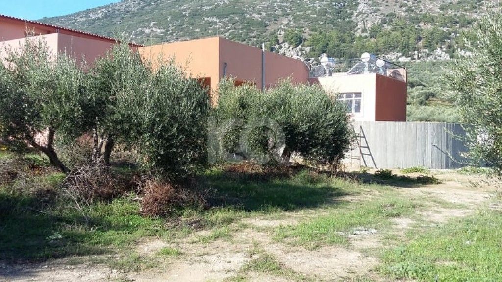 εικόνα αγγελίας