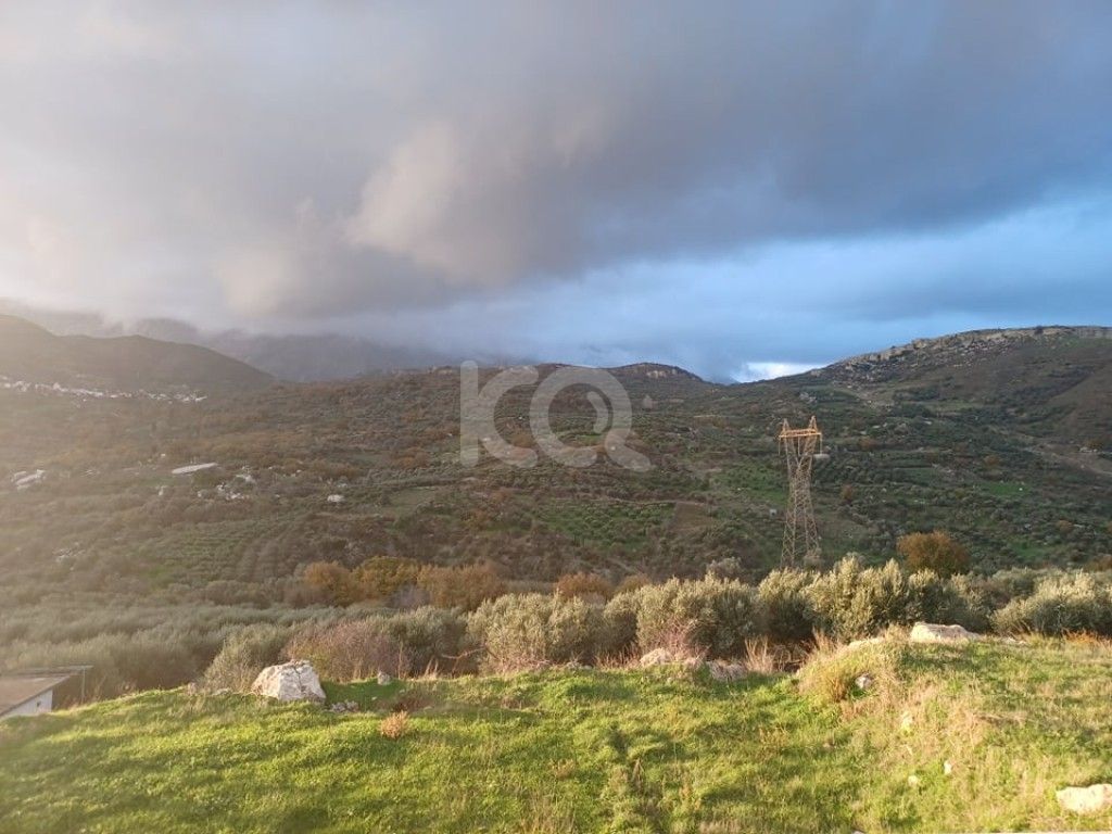 εικόνα αγγελίας