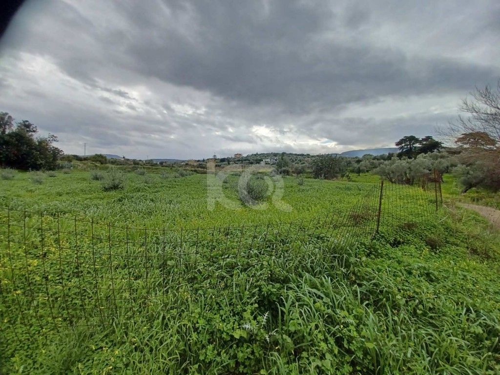 εικόνα αγγελίας