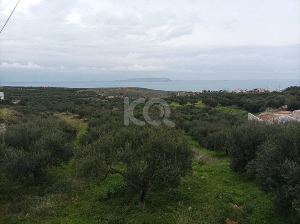 εικόνα αγγελίας