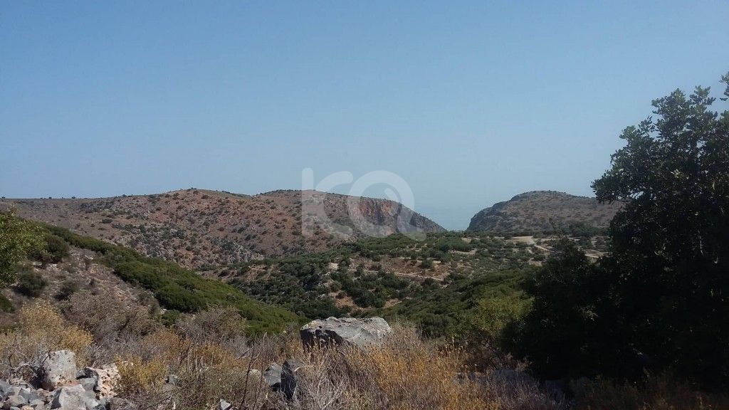 εικόνα αγγελίας