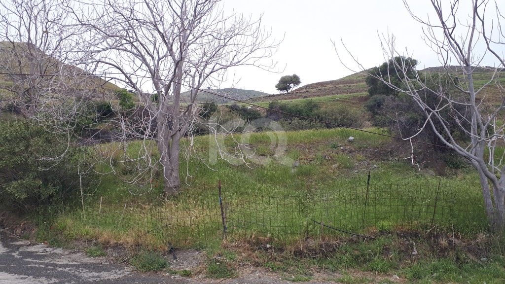 εικόνα αγγελίας