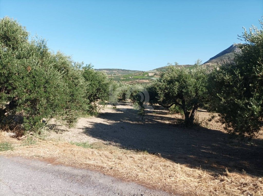 εικόνα αγγελίας