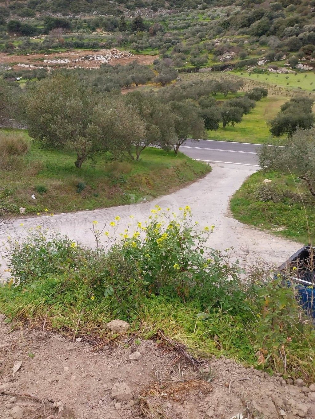 εικόνα αγγελίας