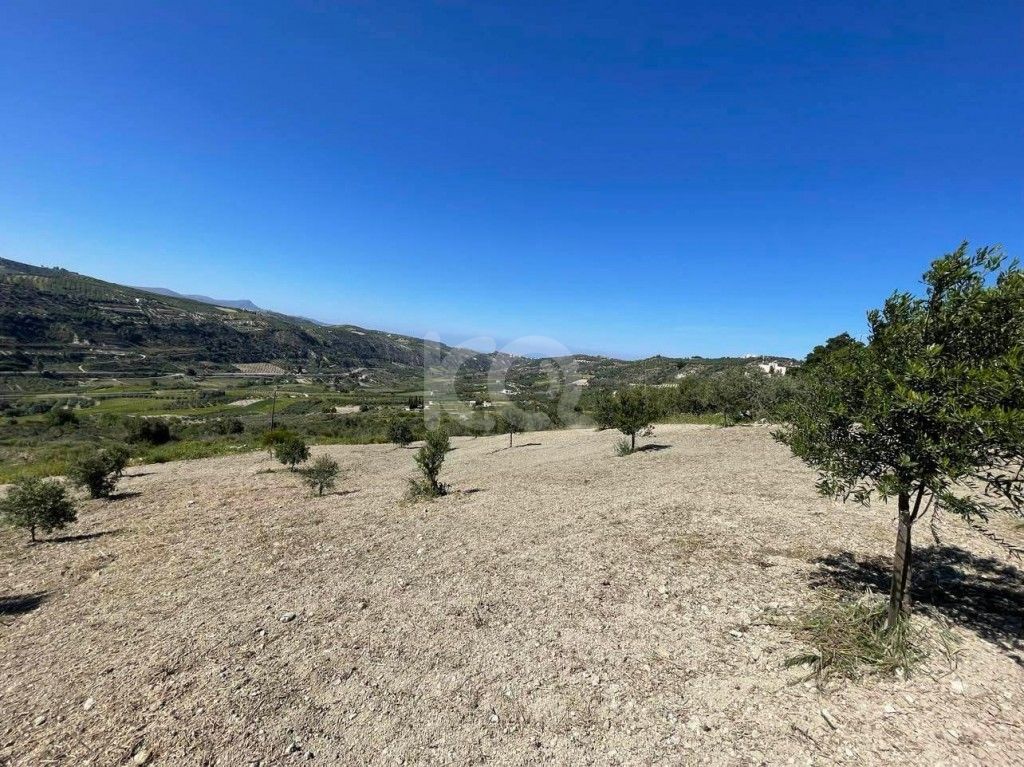 εικόνα αγγελίας