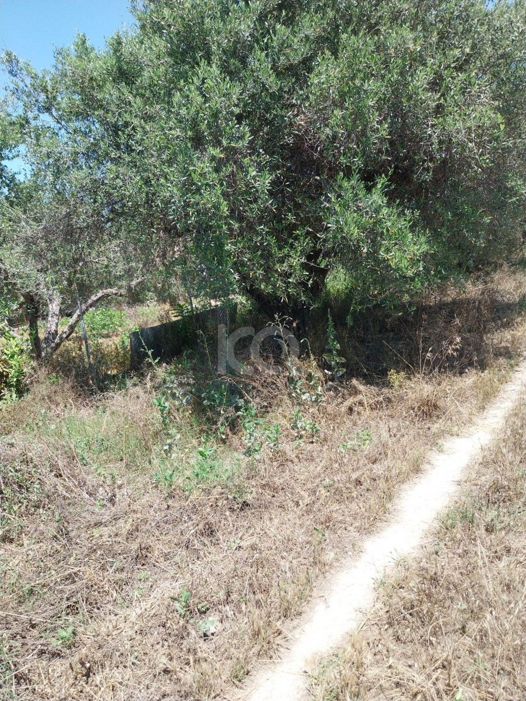 εικόνα αγγελίας