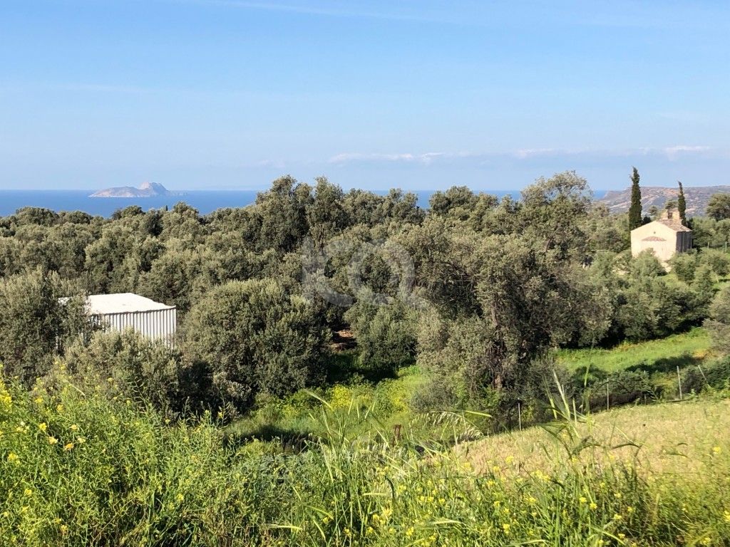 εικόνα αγγελίας