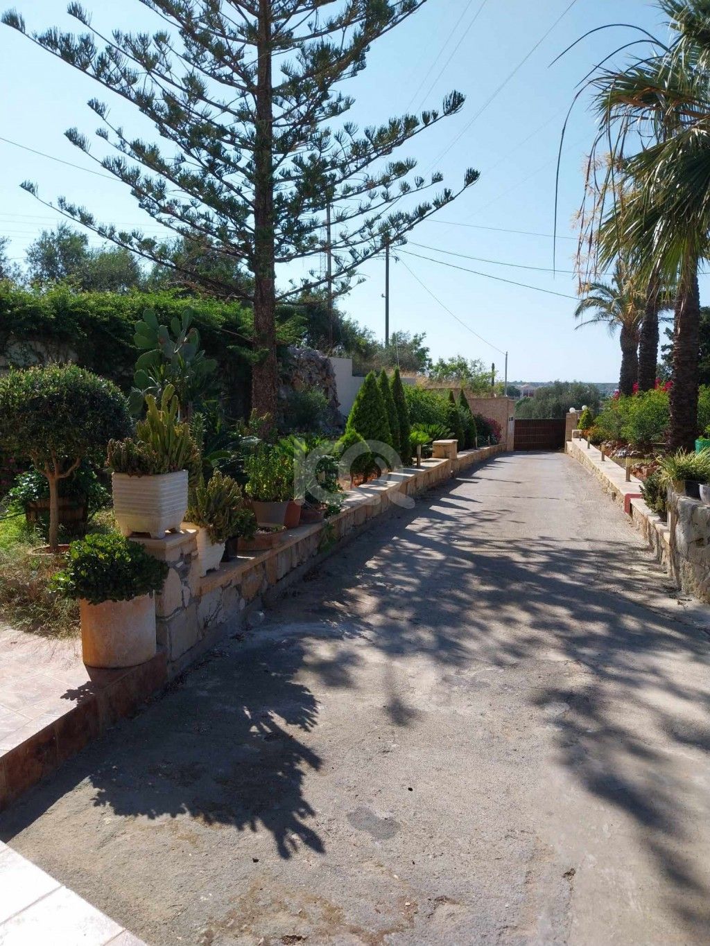 εικόνα αγγελίας