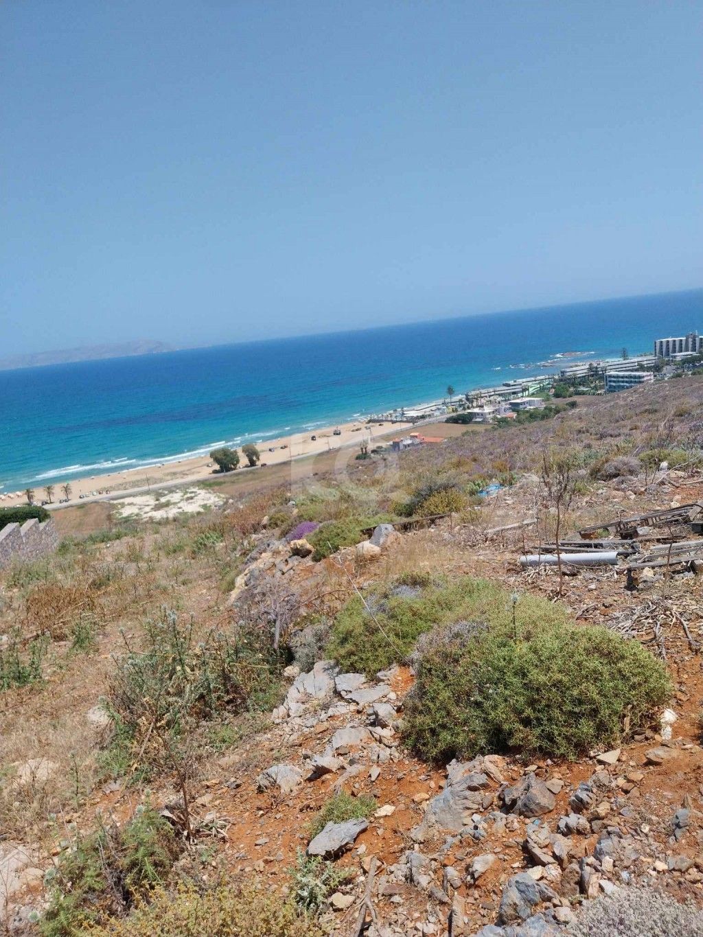 εικόνα αγγελίας