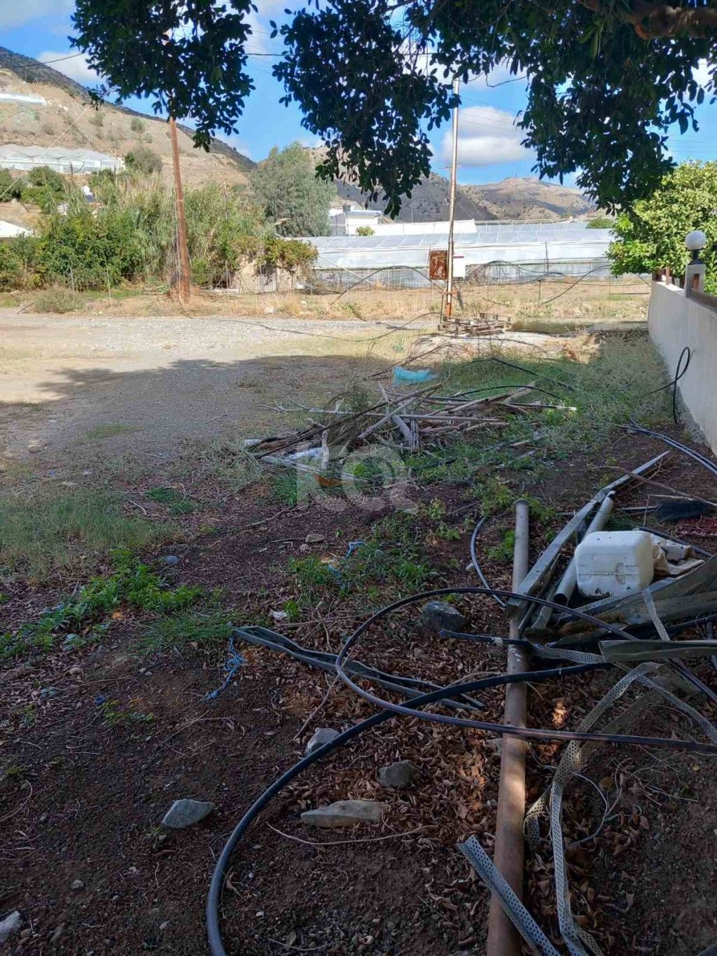 εικόνα αγγελίας