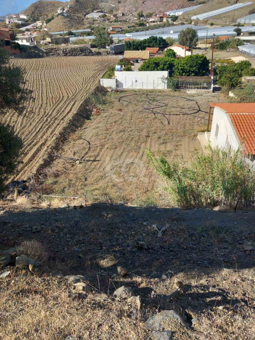 εικόνα αγγελίας