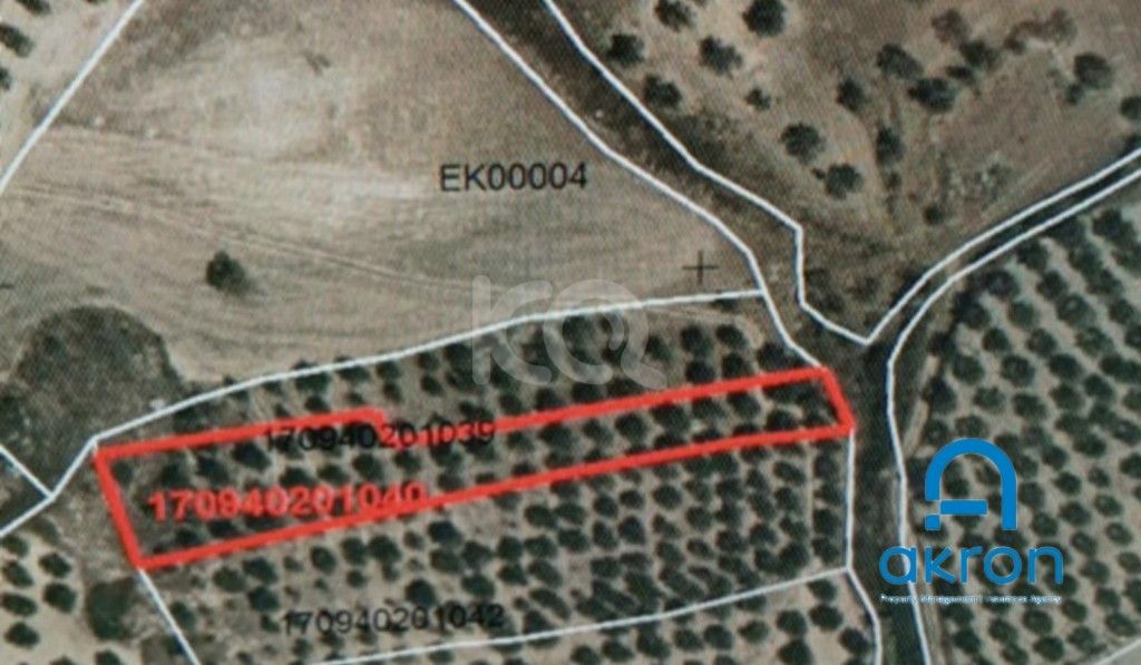 εικόνα αγγελίας