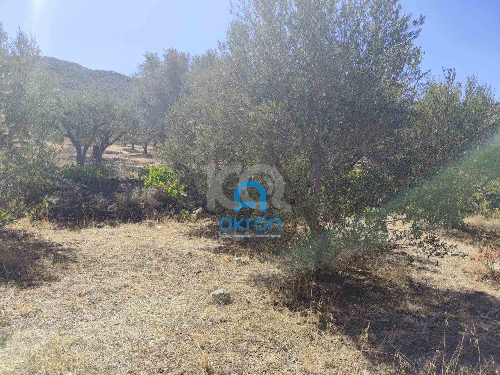 εικόνα αγγελίας