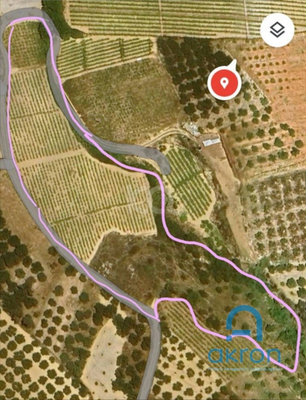 εικόνα αγγελίας