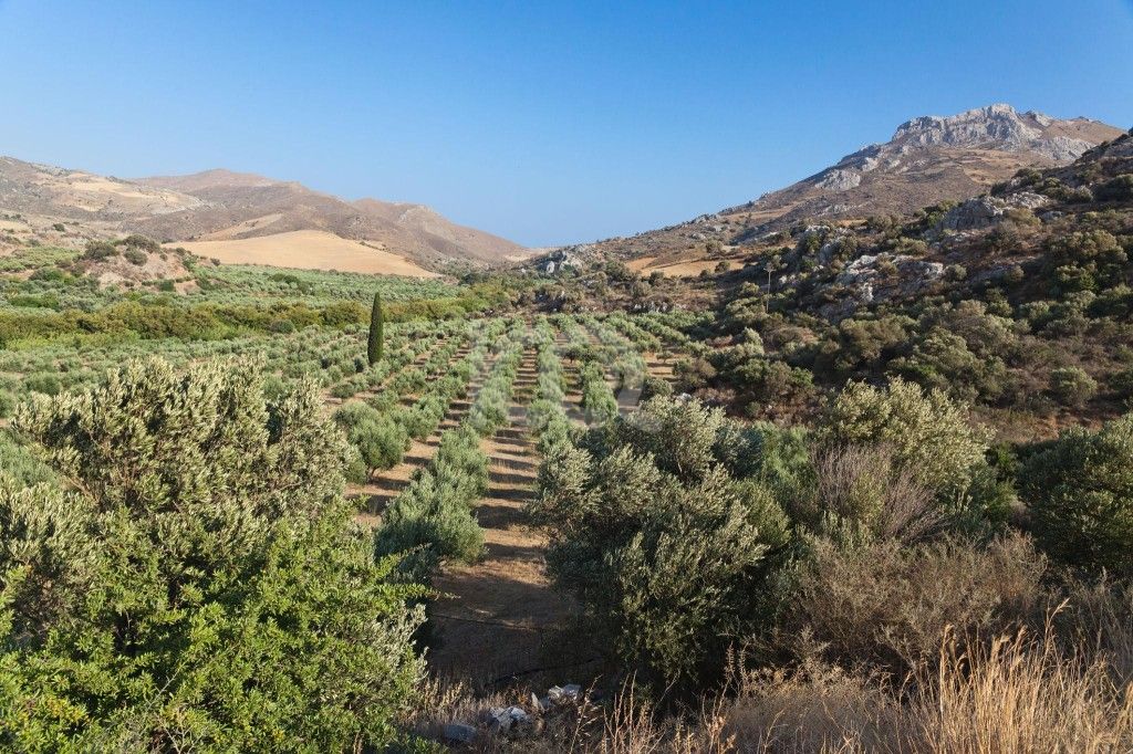 εικόνα αγγελίας