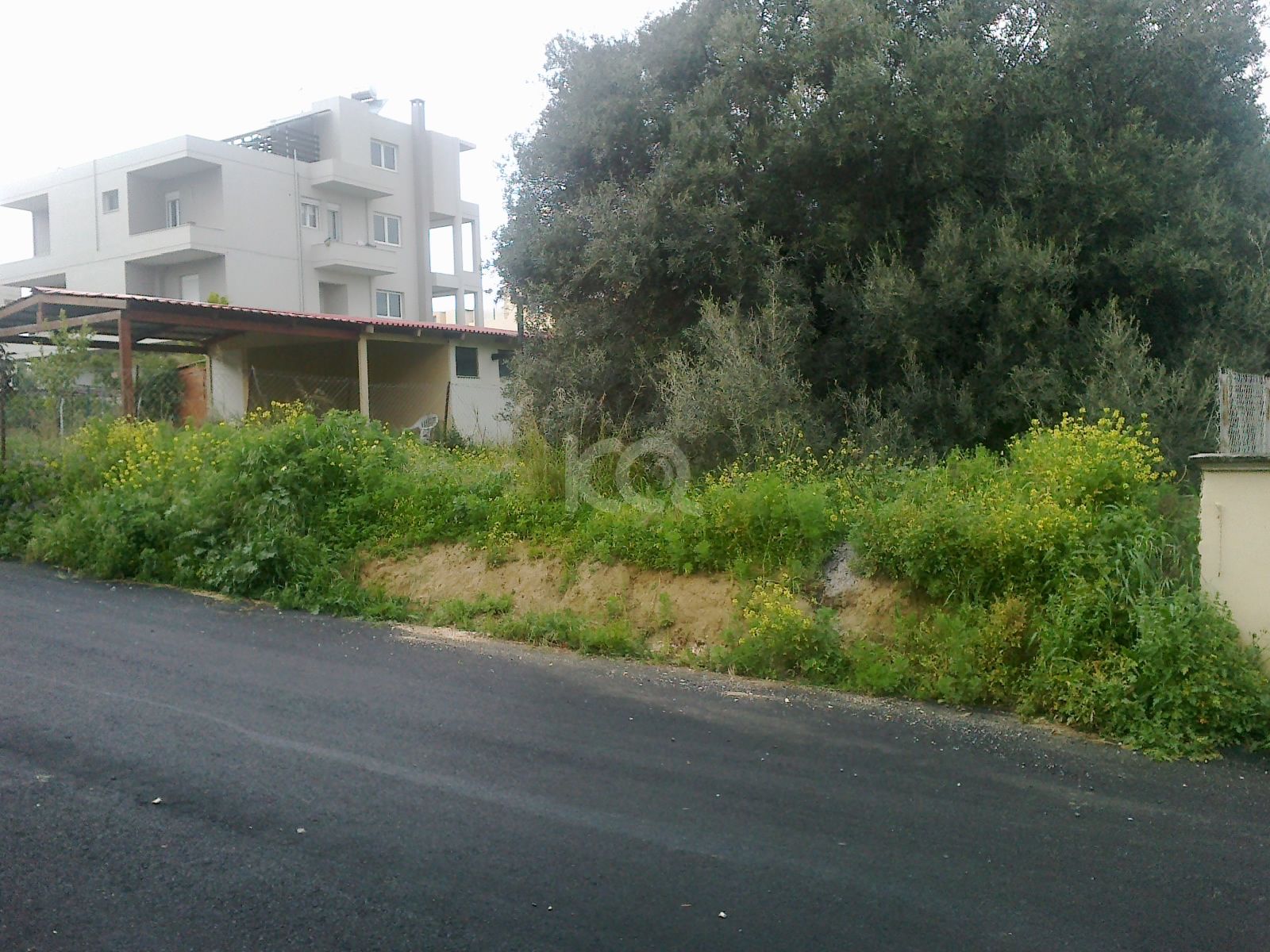 εικόνα αγγελίας