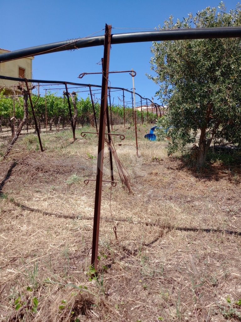 εικόνα αγγελίας