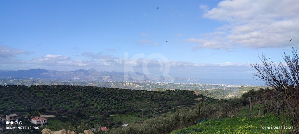 εικόνα αγγελίας