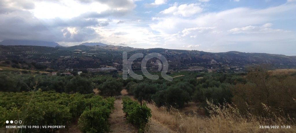 εικόνα αγγελίας