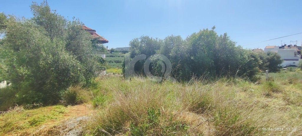 εικόνα αγγελίας