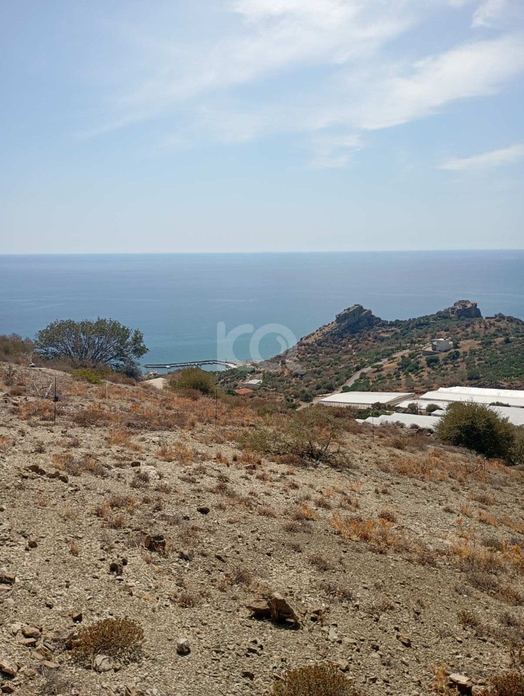 εικόνα αγγελίας