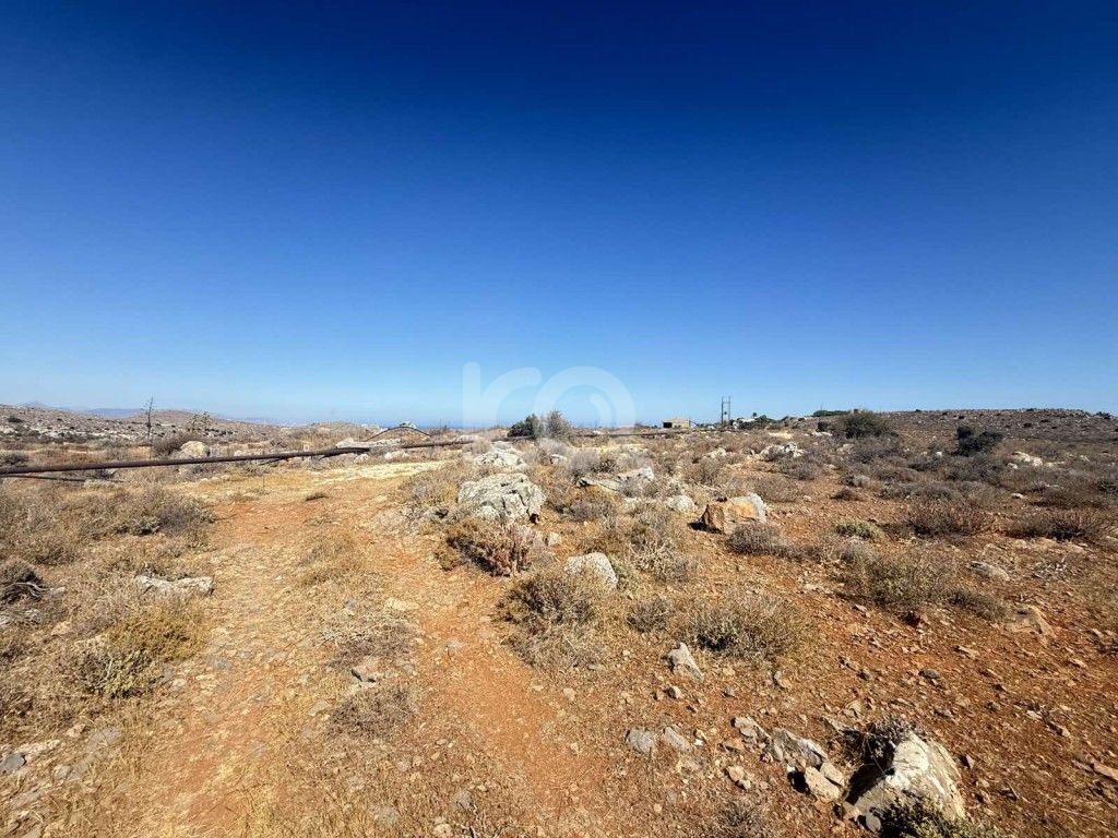 εικόνα αγγελίας