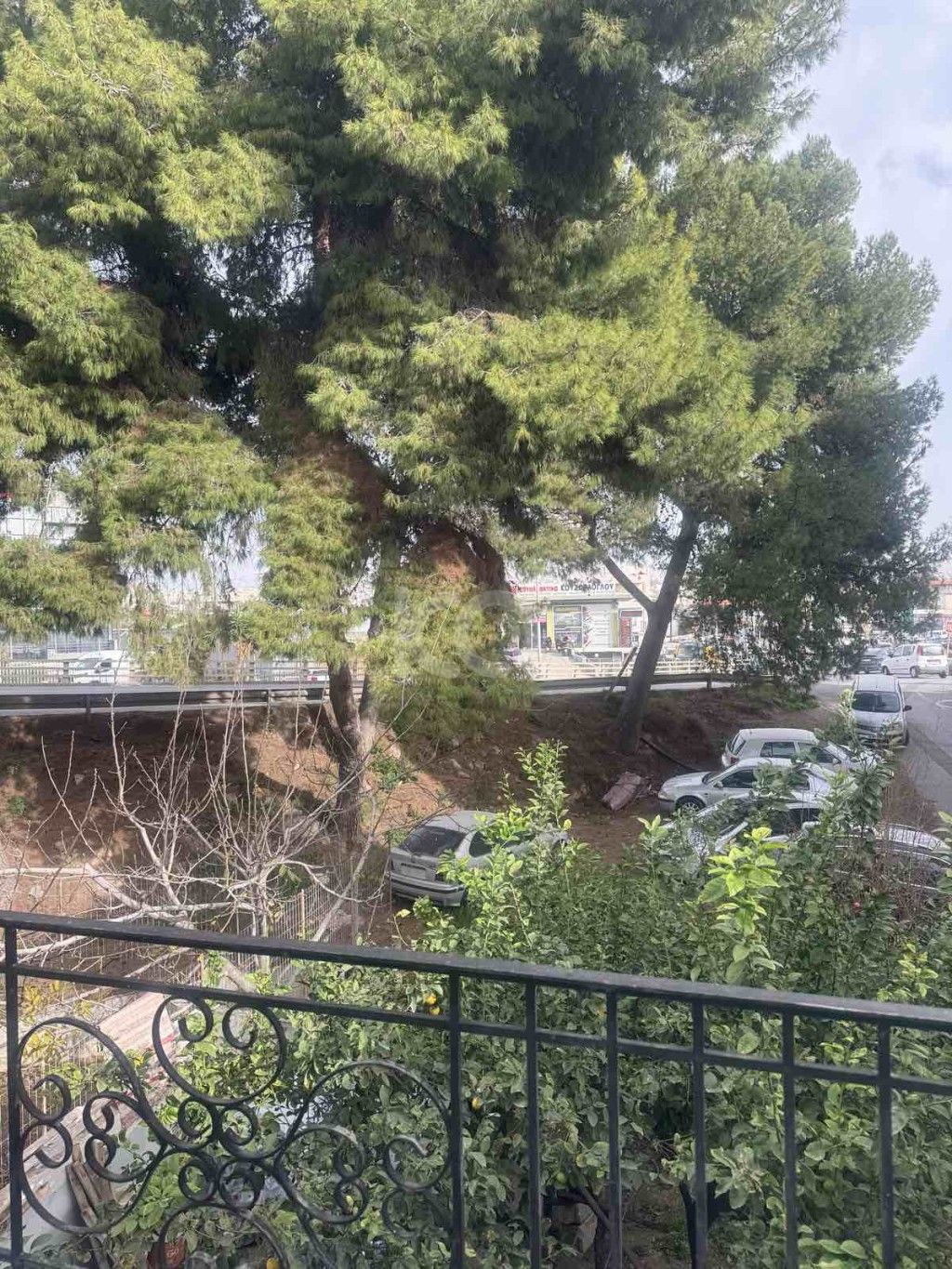 εικόνα αγγελίας