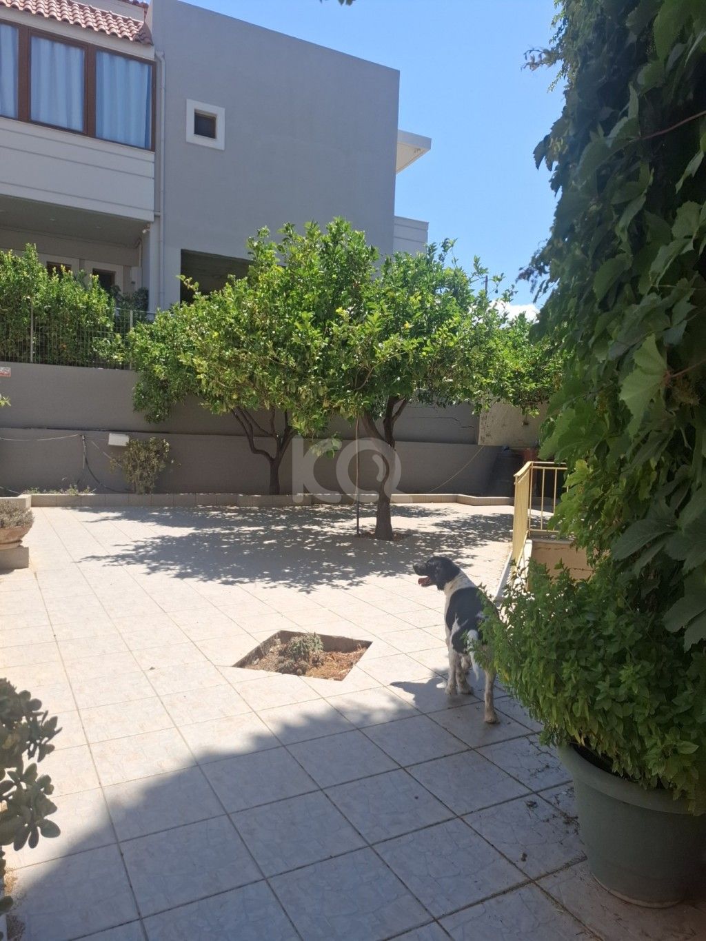 εικόνα αγγελίας