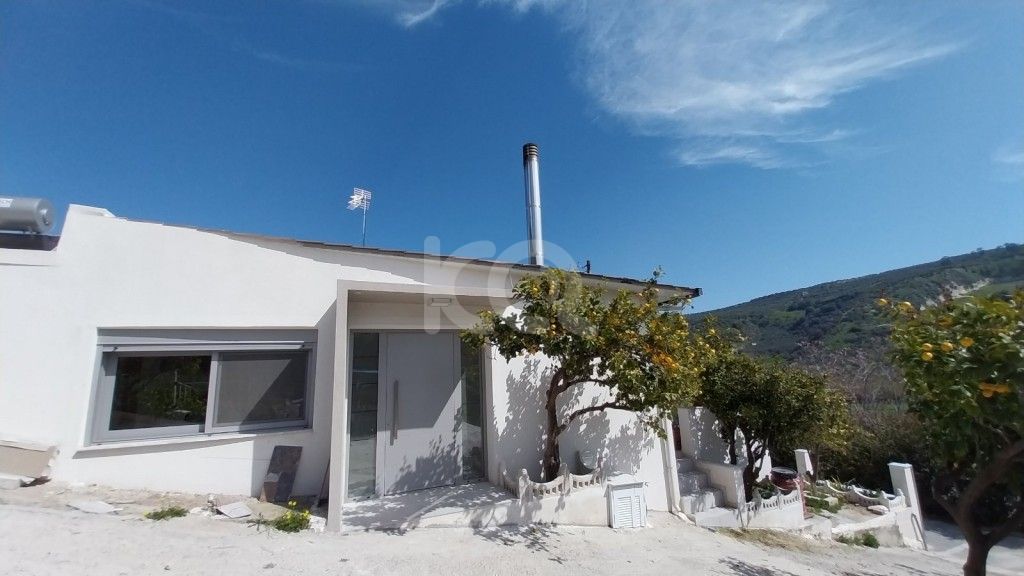 εικόνα αγγελίας