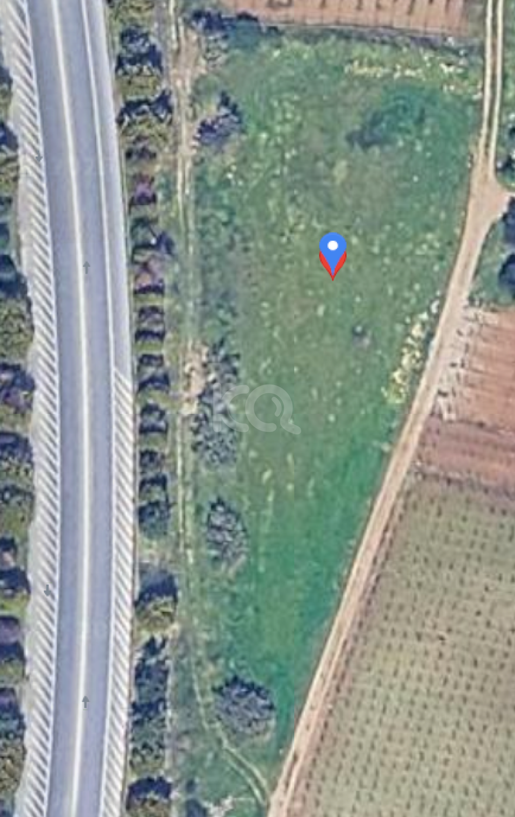 εικόνα αγγελίας